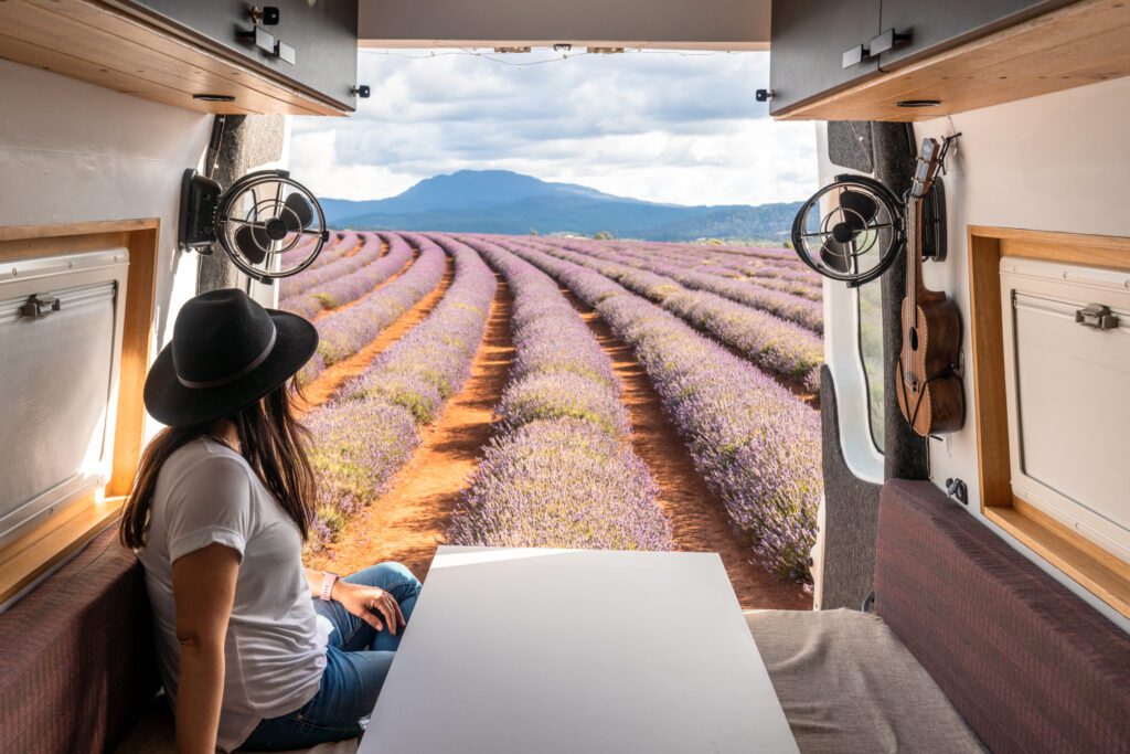 lavendar field camper van mountain back drop Tasmania Australia