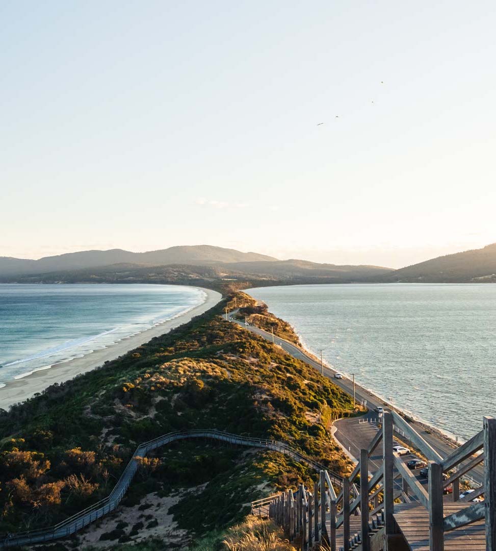 Tasmania walkway beach mountain