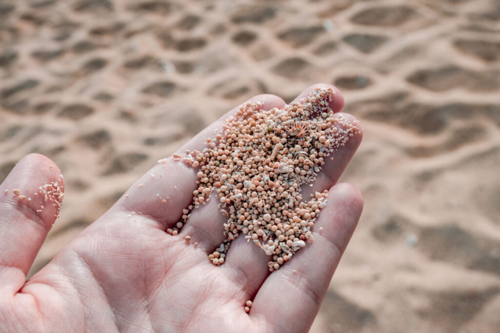 Can I take sand from the beach Australia illegal My Australia trip blog hand